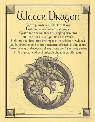 A detailed illustration of a water dragon curled around itself, with scales and fins visible.