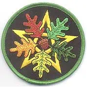 Patch featuring a multicolored tree design with branches in red, yellow, green, and brown.