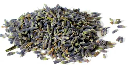 Dried lavender buds for herbal and spiritual use, related to Celtic traditions.