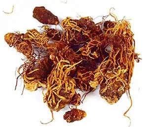Dried roots and herbs used in Celtic herbal practices and natural healing.
