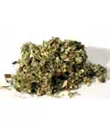 Herb used in Celtic spiritual practices and rituals.