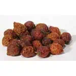 Dried botanical seeds, small and brown, suitable for planting or educational purposes.