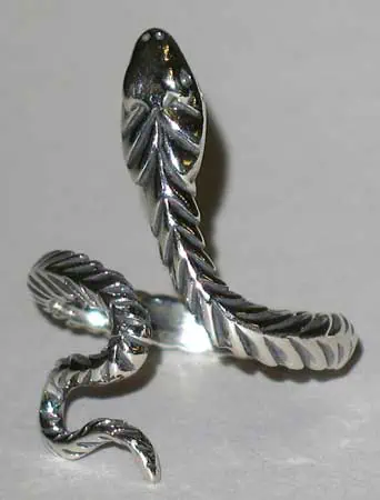 This website focuses on modern Celtic spirituality, druidry, nature veneration, and educational cont.