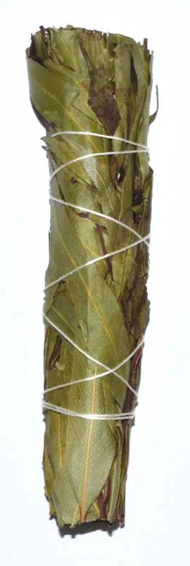 Wooden bundle, traditional natural material, tied with white string.