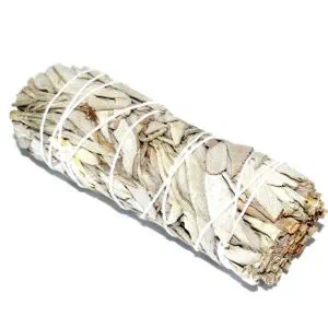 Sage smudge stick for cleansing and spiritual practices.