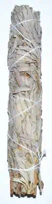 A bundle of dried white sage tied with string, used in spiritual practices.
