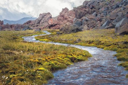 Calm mountain stream flowing through a lush green landscape, surrounded by moss and rocks.